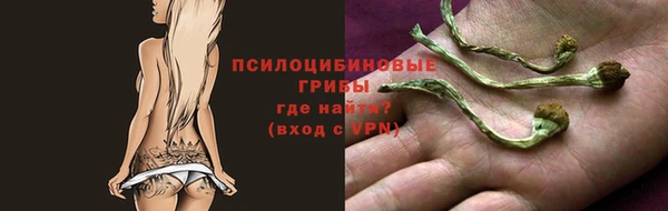 гидра Касимов
