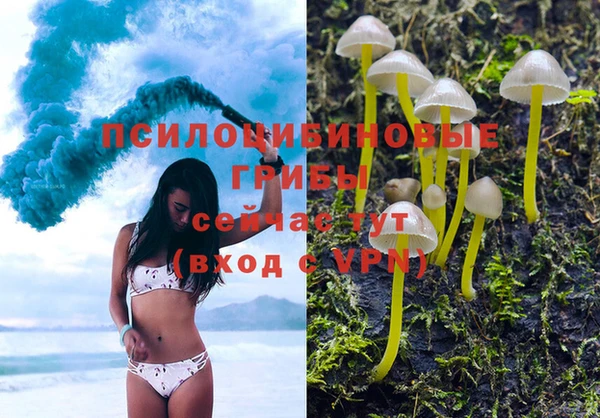 гашик Навашино