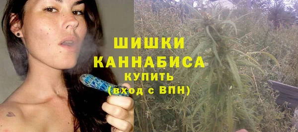 гидропоника Богородицк