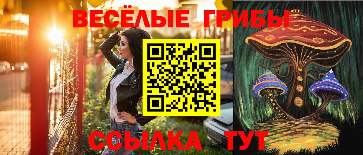 Псилоцибиновые грибы GOLDEN TEACHER  Галлюциногенные грибы MAGIC MUSHROOMS  Кувандык 