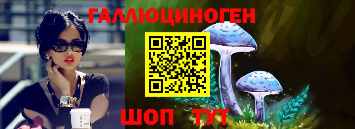 Кувандык  Псилоцибиновые грибы прущие грибы  Вход с VPN 
